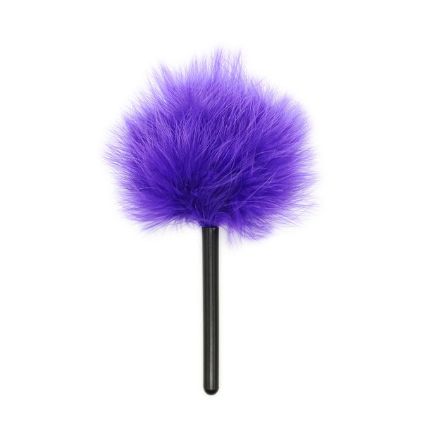 BDSM Purple Flirting Feathers Scattered Red Purple Plastic Rod Flirting Pen Holder Chicken Feather Rod For Women_voghion.com