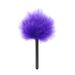 BDSM Purple Flirting Feathers Scattered Red Purple Plastic Rod Flirting Pen Holder Chicken Feather Rod For Women_voghion.com