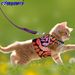 Cat Harness And Leash For Walking Escape Proof Air Mesh Fabric Outdoor Walking Vest With Reflective Strips For Cute Cats And Small Dogs (S, Pink)_voghion.com