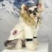 Autumn Winter Thickened Warm Dog Clothes Schnauzer Teddy Bichon Fur Collar Down Jacket_voghion.com