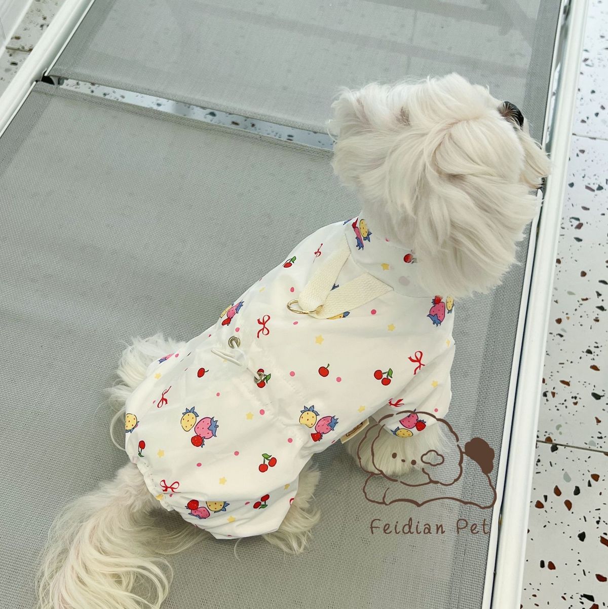 Boiling Point Pet Autunno Inverno Nuovo foderato in pile a quattro zampe guinzaglio impermeabile con fibbia per cani di piccola taglia e_voghion.com