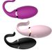 Télécommande sans fil, œuf vibrant en silicone pour femme, chargement USB_voghion.com