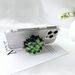 Airbag Succulent Plant Acrylic Drip Glue Lazy Desktop Folding Phone Buckle Bracket_voghion.com