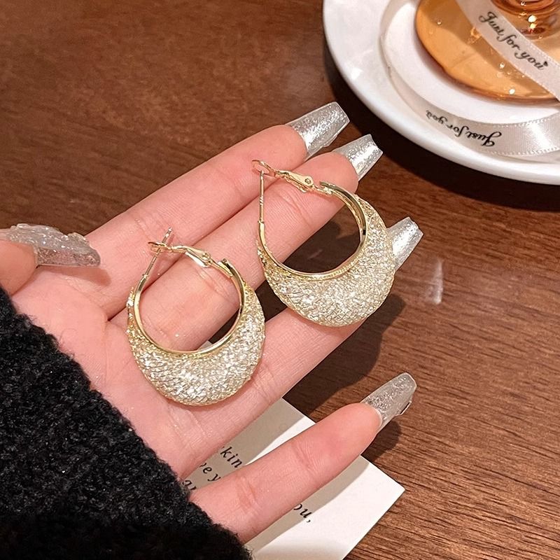 S Silver Needle High-end Exquisite Hollow Mesh Zircon Ins Trend Light Luxury Niche Personality Stud Earrings_voghion.com