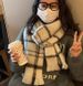 2025 New Scarf Women's Winter New Korean Cold Senior Sense Student Versatile Thickened Warm Shawl Scarf_voghion.com
