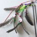 Pearl Big Teaser Flying Bird Wand Crazy Feather Cat Toy_voghion.com