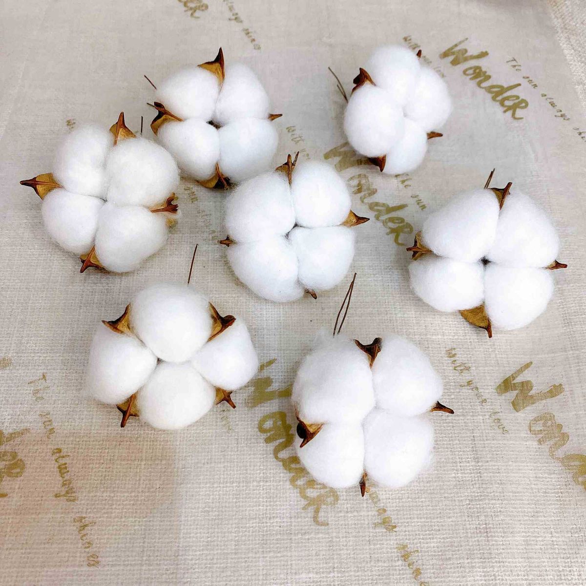 Bouquet de fleurs artificielles en coton de qualité supérieure – Tiges de coton séchées réalistes pour décoration intérieure, compositions de Noël et accessoires photo 48 cm_voghion.com