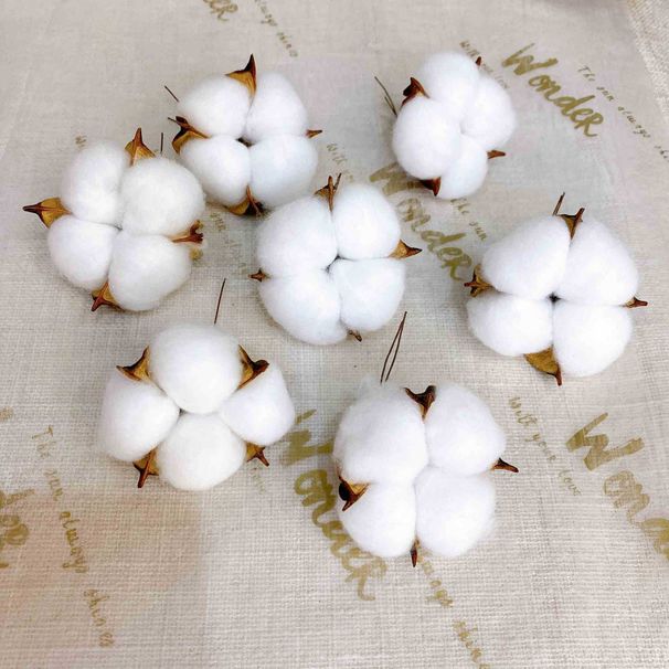 Bouquet de fleurs artificielles en coton de qualité supérieure – Tiges de coton séchées réalistes pour décoration intérieure, compositions de Noël et accessoires photo 48 cm_voghion.com