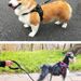 Reflective Nighttime Dog Training Harness With Foam Handle And Round Rope Leash_voghion.com