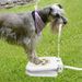 Distributeur d'eau automatique pour chiens et chats_voghion.com