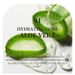 KORMESIC Aloe Vera Hydrating Toner 500ml_voghion.com