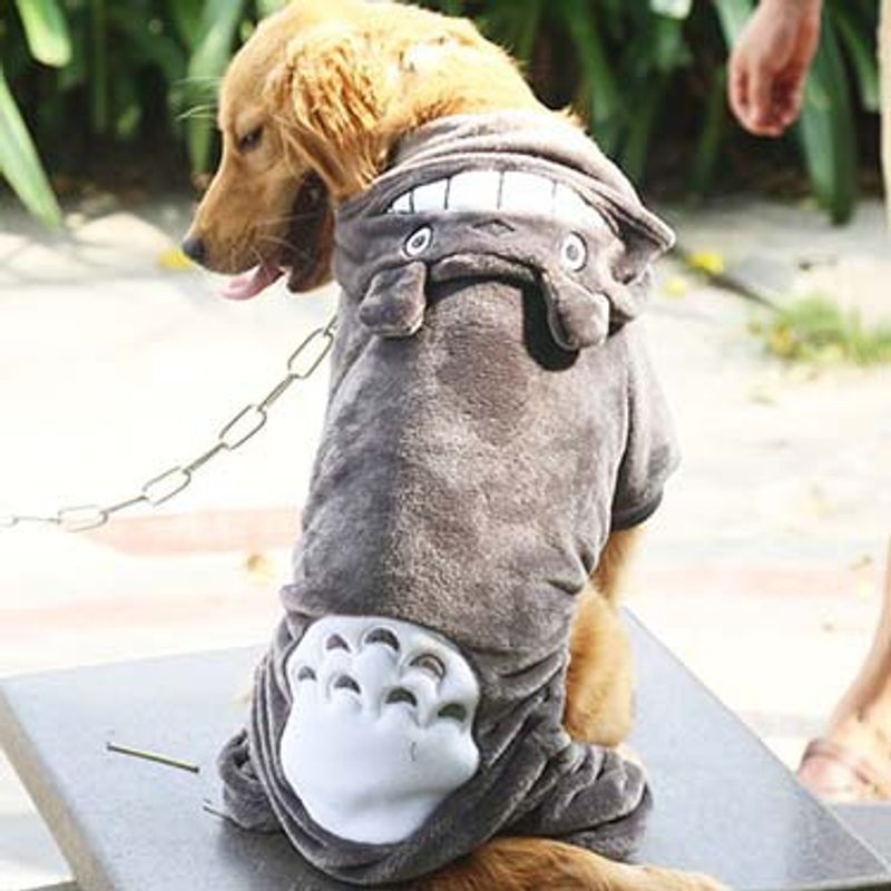 Cachorro grande, gato, animal de estimação, pele dourada, roupas de quatro patas, acessórios de transformação_voghion.com