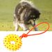 Guangying Dog Training Toy Built-in Sounder Cartoon Style Scratch-resistant Pet Puppy Chew Squeaker Sound Toys For Reassurance_voghion.com