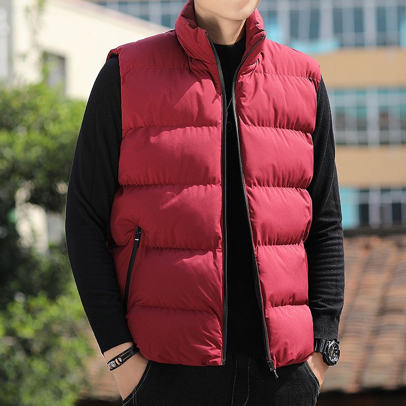 Gilet per abbigliamento invernale da uomo, nuovo, alla moda, giacca corta, caldo, senza maniche, in cotone, con collo alto_voghion.com