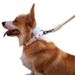 Kekuo Superfine Leather Pet For Small And Medium Dogs, Large Dog Leash 120cm Long, Best-Selling Model_voghion.com