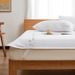 Premium Cotton Terry Waterproof Mattress Protector - Hypoallergenic & Ultra Absorbent For All Bed Sizes_voghion.com