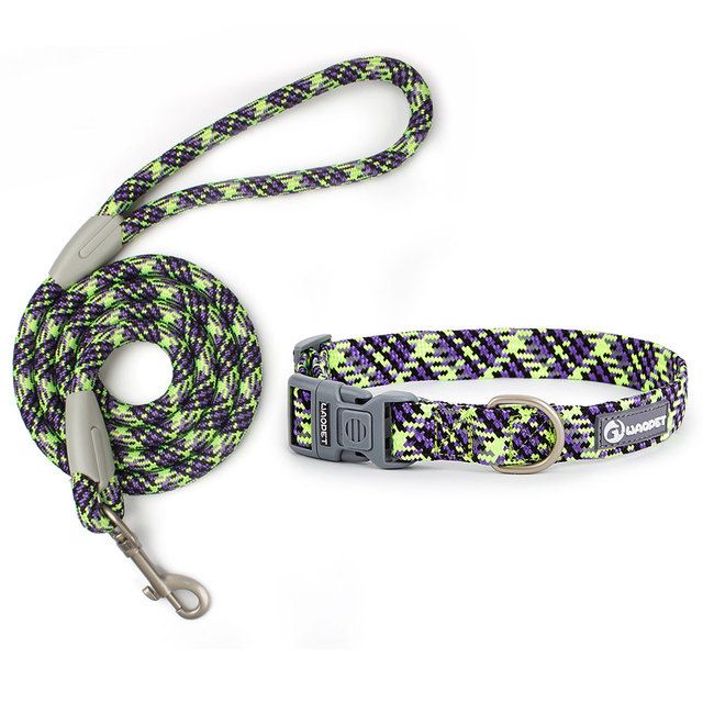 Set Of Leashes And Collars For Dogs By PawParty Store_voghion.com