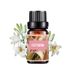 Aromatherapy Essential Oils For Humidifiers – 16 Scents, Water-Soluble, Plant-Based For Relaxation & Air Freshening_voghion.com