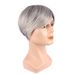 Parrucche sintetiche con clip per uomo, capelli corti, uomini di mezza età e anziani, grigi, riga laterale, capelli corti e lisci, fibra chimica, seta ad alta temperatura_voghion.com