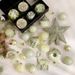 Premium Christmas Tree Topper & Ornament Set – 69-Piece Cream Green Decor With Star, Reindeer & Multi-Sized Baubles_voghion.com