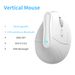 Straight Hair Rechargeable Ergonomic Vertical Office Upright Wireless Dual Mode Mouse_voghion.com
