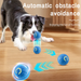 Interactive Ball For Dogs By PawParty Store_voghion.com