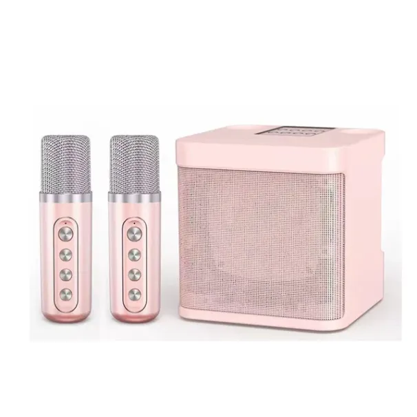 KD203 Karaoke Hine con 2 microfoni wireless Boombox portatile per esterni AUX TF Card U Disk Player Cambia voce per_voghion.com