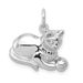 14k White Gold Polished Open-Backed Cat Charm_voghion.com