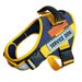 2024 New Pet Harness For Medium And Large Dogs Reflective Explosion-Proof Vest-Style Dog Leash_voghion.com