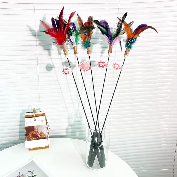 Nouvelle baguette en bois avec plume, tige longue pour gratter et mâcher le chat_voghion.com