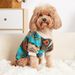 Three Totems Hoodie Cat Dog Universal Ins Autumn Winter Plush Pet Clothes_voghion.com