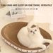Cat Scratcher Cardboard Oval Cat Scratch Pad Bowl Nest For Indoor Cats Grinding Claw Round Cat Scratching Board_voghion.com