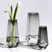 Premium Modern Glass Vase - Transparent Design For Roses/Lilies & Lucky Bamboo Display
_voghion.com