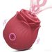 New Rose Vibrator For Women, Instant Thrusting, Strong Suction, Nipple And Clitoral Stimulator, Orgasm Masturbator,_voghion.com