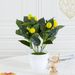 Hjem og have Simuleret citrontræ Citronfrugt Simuleret bær Betydning Boligindretning Gulvstående blomsterkunst Grønne planteornamenter_voghion.com