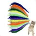Colorful Caterpillar Self-Entertainment Boredom Relief Artifact Interactive Chasing Hair Strip Teasing Cat Toy_voghion.com