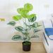 Fornitura transfrontaliera di foglie simulate, varie combinazioni di piante verdi, alberi artificiali, giardinaggio domestico, decorazioni, scenografie per matrimoni, bonsai_voghion.com