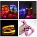 Pettorina per cani a LED KAJIPET XS-XL di PawParty Store_voghion.com