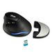 Digitex Digitex Master F17 Vertical Ergonomic Snail Style Anti-Mouse Hand Laptop Desktop Wireless Mouse_voghion.com