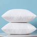 Solid Color Throw Pillow Cover – Polyester Cushion Case For 50x50cm / 35x55cm / 55x55cm Pillow Inserts (Modern Minimalist Style, PP Cotton Filled)_voghion.com