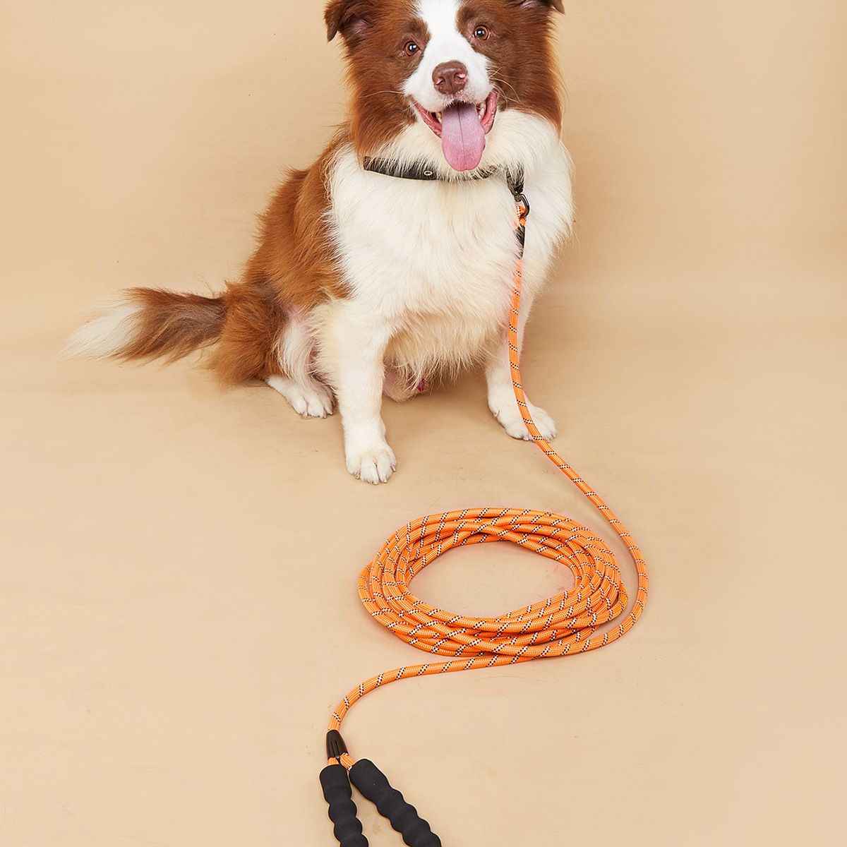 Guinzaglio per animali domestici, addestramento speciale per l'auto-aiuto esteso per passeggiate con il cane_voghion.com