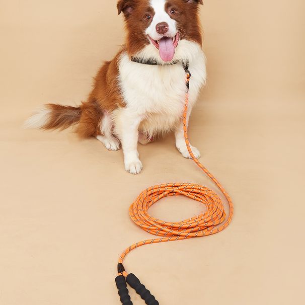 Guinzaglio per animali domestici, addestramento speciale per l'auto-aiuto esteso per passeggiate con il cane_voghion.com