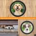 and Dog Special Pet Cat Door Transparent Semi-circular Acrylic Fence Window_voghion.com