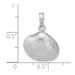 14K White Gold Medium Clam Shell Pendant_voghion.com