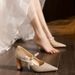 C735-1 Champagnerfarbene High Heels mit Schleife, 2025, neue Zeremonie für Erwachsene im französischen Stil, klobiger Absatz, spitze Zehenpartie, Abendschuhe, Größe 32-_voghion.com