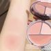 Tri-color Foundation Blush Palette, Highlighter, Matte And Multi-purpose Blusher_voghion.com