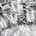 Feather Black And White Art Mattress Cover Polyester 3D Printed Bedspread_voghion.com