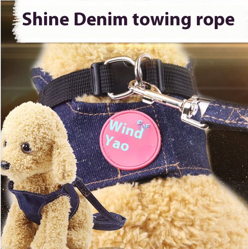 Lesă de primăvară-vară din denim pentru exterior, curele de piept și de umăr, accesorii pentru lesă de câine disponibile pentru pisici Teddy_voghion.com