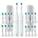 2-pack elektrische tandenborstel voor volwassenen, kleine ronde kop, draaibare, oplaadbare elektrische tandenborstel met 8 vervangende opzetborstels_voghion.com