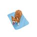 Silk Sommer Ice Pad Bett Hund Katze Kühlmatte Heimtierbedarf_voghion.com